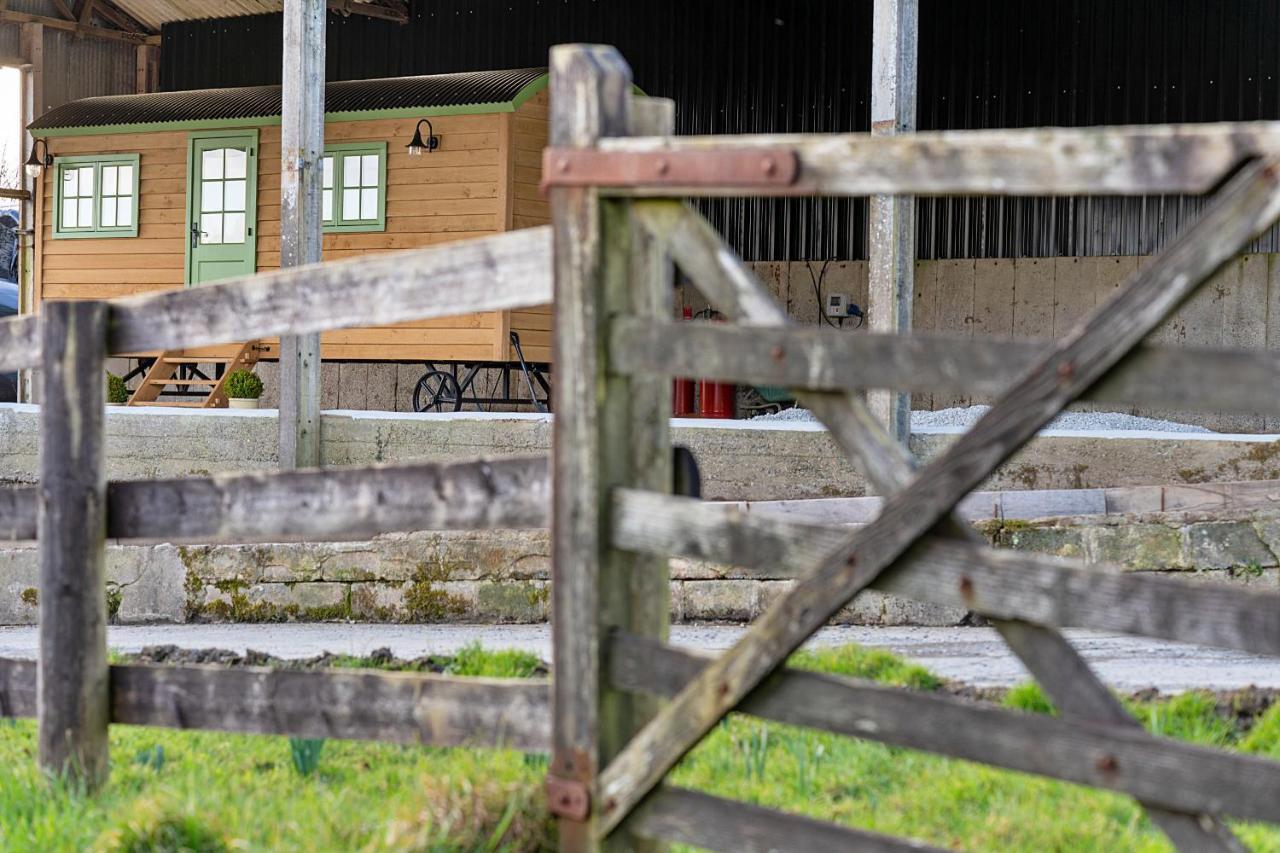 Finest Retreats - The Shepherd'S Hut At Northcombe Farm Beaworthy Kültér fotó
